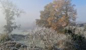 Randonnée Marche Verneuil-sur-Vienne - la merlie - Photo 6