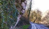 Trail Walking Houyet - Promenade vers les Aiguilles De Chaleux  - Photo 2