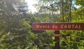 Tour Wandern Marcillac-la-Croisille - Grand circuit des jardins de Bardot  - Photo 4