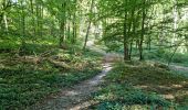 Trail Walking Étréchy - Forêt Régionale d'Etrechy - Photo 8