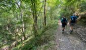Trail Walking Gedinne - Rienne boucle presque complète 23,5 Km  - Photo 8