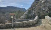 Tour Wandern La Bastide - 2023-03-03 Col de Clavel - Pont de Madame - Photo 2
