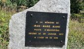 Tocht Stappen Chamonix-Mont-Blanc - CHAMONIX ... Col de Balme & Aiguillettes des Posettes. - Photo 12