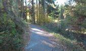 Trail On foot Wermelskirchen - Raststätte Remscheid Rundweg A1 - Photo 6