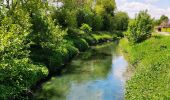 Tour Wandern Tongern - Promenade dans la réserve naturelle de Kevie - Photo 3