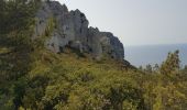 Randonnée Marche La Ciotat - falaise du cap Canaille AR - Photo 1