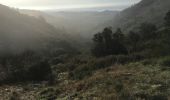 Excursión Carrera Les Baux-de-Provence - Tamalous-Les Baux-01112019 - Photo 11