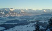 Trail On foot Blaichach - Rundweg Alpvielfalt - Photo 1