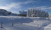 Percorso Racchette da neve Léoncel - Le Grand Echaillon - Les Crêtes de la Sausse - Photo 5