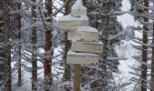 Tour Schneeschuhwandern La Pesse - La Pesse Embossieux /Le Lac de l'Embouteilleux  - Photo 2