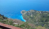 Tour Zu Fuß Sant'Agnello - (SI S21S) Colli di Fontanelle - Punta Campanella - Termini - Photo 5