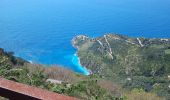 Percorso A piedi Sant'Agnello - (SI S21S) Colli di Fontanelle - Punta Campanella - Termini - Photo 5