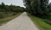 Trail Nordic walking Vendays-Montalivet - Marais de la Perge - Photo 19