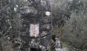 Trail Walking Nans-les-Pins - la vaussiere - Photo 2