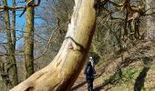 Tour Wandern Sainte-Ode - sentiers artistique d'Orti (Amberloup) - Photo 19