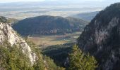 Tour Zu Fuß Gemeinde Hohe Wand - Unter Höflein Bhf - Zweiersdorf - Leitergraben - Photo 5