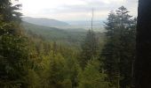 Tour Wandern Mühlbach an der Breusch - Le Jardin des Fées par la cascade de Soulzbach - Photo 13