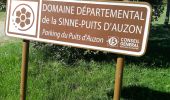 Percorso Marcia Vauvenargues - la sinne par le col des portes - Photo 8