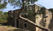 Trail Walking Hyères - Porquerolle côté Est (Pointe des Mèdes) - Photo 9