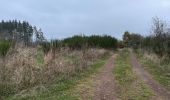 Tocht Stappen Beauraing - Pondrôme 23 km - Photo 18