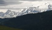 Excursión Senderismo La Giettaz - Le chalet du curé  - Photo 5