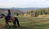Trail Horseback riding Barembach - 2022-10-30 Journée Rothau Struthof Serva Perheux - Photo 7