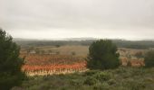 Randonnée Marche Bages - Prat-de-Cest - Abbaye de Fontfroide - Photo 1