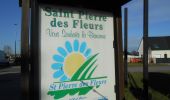 Excursión Senderismo Saint-Pierre-des-Fleurs - 20230228-St Pierre des Fleurs Cool - Photo 15
