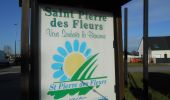 Trail Walking Saint-Pierre-des-Fleurs - 20230228-St Pierre des Fleurs Cool - Photo 15