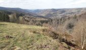 Tour Wandern Haut-du-Them-Château-Lambert - dans les forêts de st Antoine et haut du Them - Photo 7