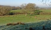 Percorso A piedi Somerset West and Taunton - Herepath Trail - Castle Neroche - Photo 7