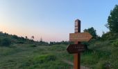 Trail Walking Aspremont - Aspremont tour du Mont Chauve, montée au fort. - Photo 3