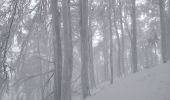 Trail Snowshoes Le Valtin - la schlucht raquettes jan 23 - Photo 1