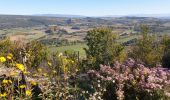 Trail Walking Céreste - Cereste-Montjustin - Photo 4