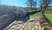 Tour Wandern Pégairolles-de-l'Escalette - arsel Pegairolles de l esclette - Photo 2