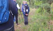 Tocht Stappen Beaufort-sur-Gervanne - BEAUFORT ET GERVANNE - Photo 5