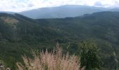 Trail On foot Gemeinde Spital am Semmering - Semmering - Sonnwendstein über Dürrgraben - Photo 10