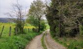 Randonnée Marche Gouvy - Au fil de l'eau - Gouvy   - Photo 2