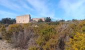 Trail Walking Ille-sur-Têt - puig pedros  - Photo 18