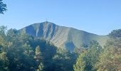 Tour Wandern Auzet - AUZET. COL DE LA PINEE . LE MARZENC . N . O L - Photo 14