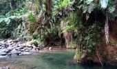 Tour Wandern Le Morne-Rouge - Morne la Caillerie, Trace des Jésuites - Photo 4