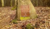 Excursión A pie Eberbach - Rundwanderweg Breitenstein 4: Wolfs-Weg - Photo 1