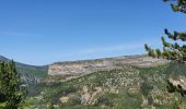 Tocht Stappen Rémuzat - les Aiguilles de Remuzat - Photo 1