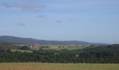 Tour Zu Fuß Allenfeld - Vitaltour Schlossweg - Photo 8