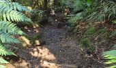 Trail Walking Saint-Benoît - Bassin des hirondelles et cassé de Takamaka  - Photo 6