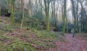 Trail Walking Camors - PR_56_Camors_CA_03_Tro-Bourk_Circuit1b_20240126 - Photo 6