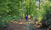 Tocht Stappen Froidchapelle - Balade au Lac de l'Eau d'Heure - Photo 7