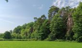 Randonnée Marche Sprimont - dans les bois au nord de Banneux - Photo 17