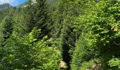 Tour Wandern Saint-Pierre-de-Chartreuse - Le charmant Som en Boucle - Photo 17