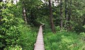 Trail Walking Eupen - Promenade dans la fagne de Brackvenn   - Photo 5